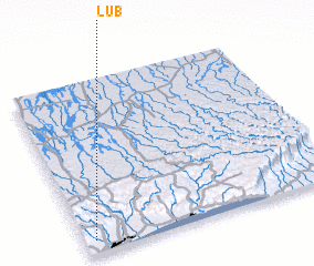 3d view of Lub