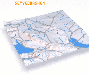 3d view of Seyyed Hāshem