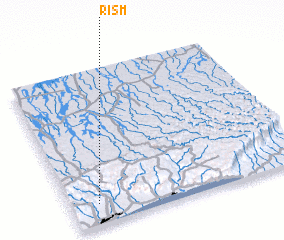 3d view of Rism