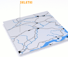 3d view of Seletki