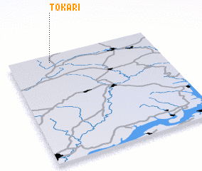 3d view of Tokari