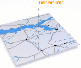 3d view of Taynyashevo