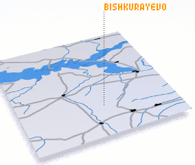 3d view of Bishkurayevo