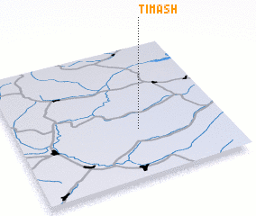 3d view of Timash