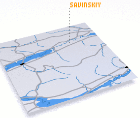 3d view of Savinskiy