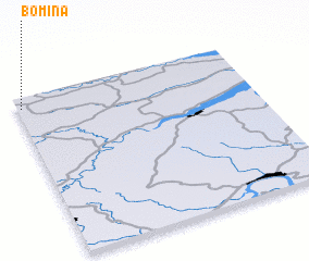 3d view of Bomina