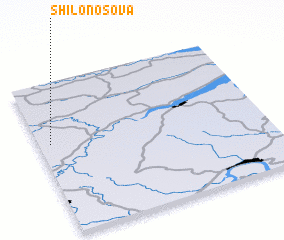 3d view of Shilonosova