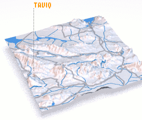 3d view of Ta‘vīq