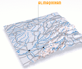 3d view of ‘Alī Naqī Khān