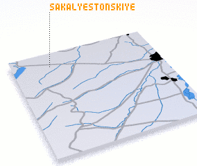 3d view of Sakaly-Estonskiye