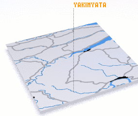 3d view of Yakimyata