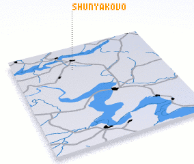 3d view of Shunyakovo