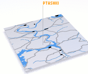 3d view of Ptashki