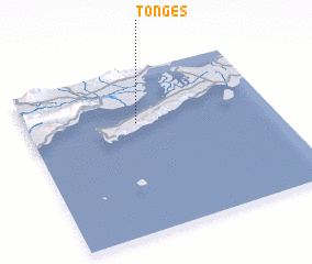 3d view of Tonges