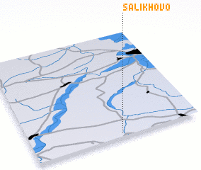 3d view of Salikhovo