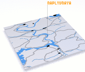 3d view of Naplyvnaya