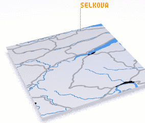 3d view of Sel\