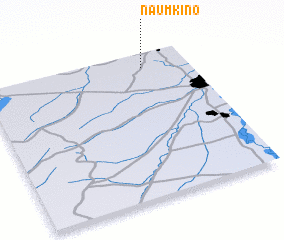 3d view of Naumkino