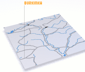 3d view of Burkinka