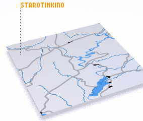 3d view of Starotimkino