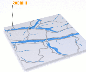 3d view of Rodniki