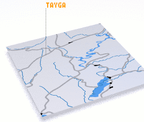 3d view of Tayga