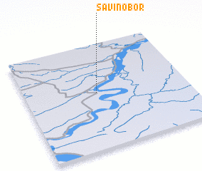 3d view of Savinobor