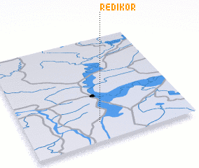 3d view of Redikor