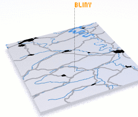 3d view of Bliny