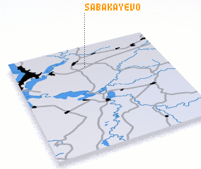 3d view of Sabakayevo