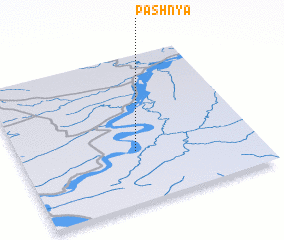 3d view of Pashnya