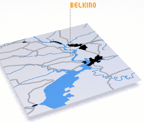3d view of Belkino