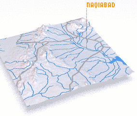 3d view of Naqīābād