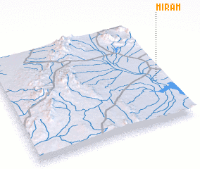 3d view of Mīr ‘Am