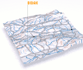 3d view of Bīdak