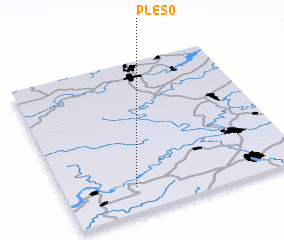 3d view of Plëso