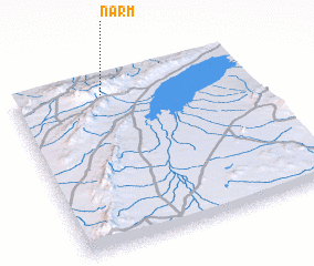 3d view of Narm