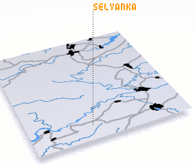 3d view of Selyanka