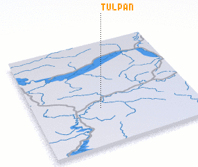 3d view of Tulpan