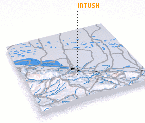 3d view of Intush