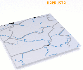 3d view of Karpusta