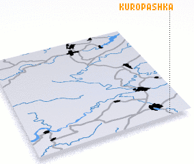 3d view of Kuropashka