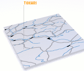 3d view of Tokari