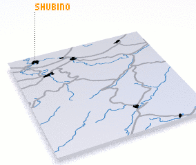 3d view of Shubino