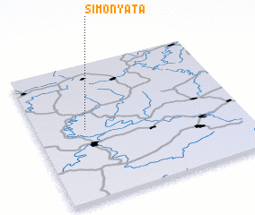 3d view of Simonyata