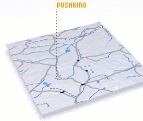 3d view of Pushkino