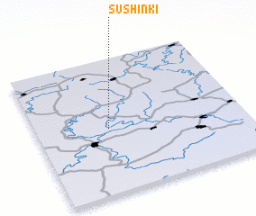 3d view of Sushinki