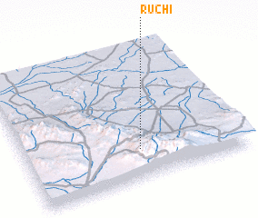 3d view of Rūchī