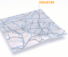 3d view of Senjetak