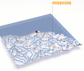 3d view of Mudbugha